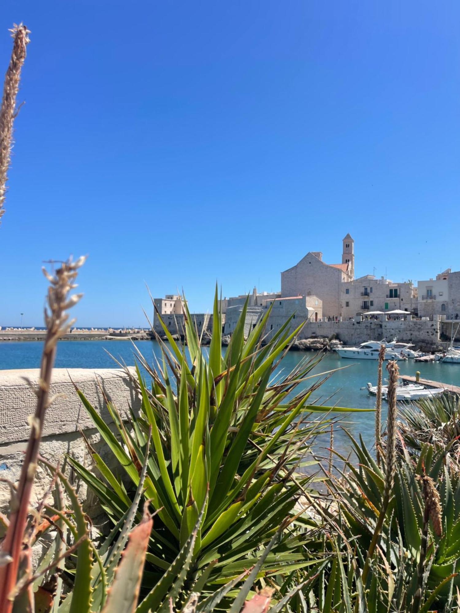 Arcomare Suite Giovinazzo Ngoại thất bức ảnh
